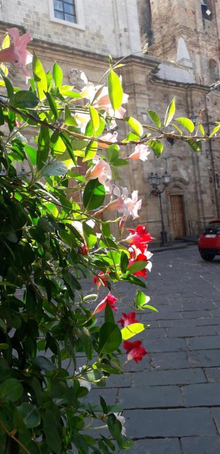 Bed and Breakfast Nenet Guglionesi Exterior foto